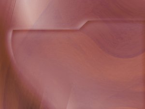域名注册与网站安全加固